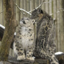 Foto: ©Zoo Jihlava