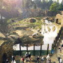 Vizualizace expozičního celku Arktida. Zdroj Zoo Praha