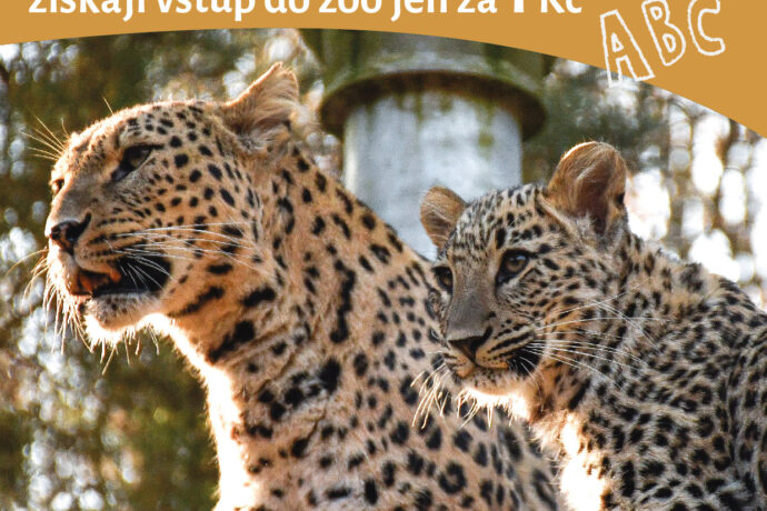 Foto: ©Zoo Jihlava
