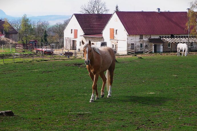 Háj u Duchcova