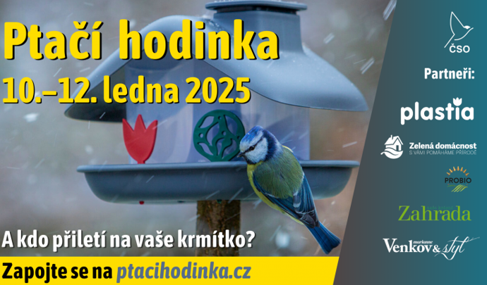 Sedmý ročník Ptačí hodinky je tu! Zapojte se s celou rodinou