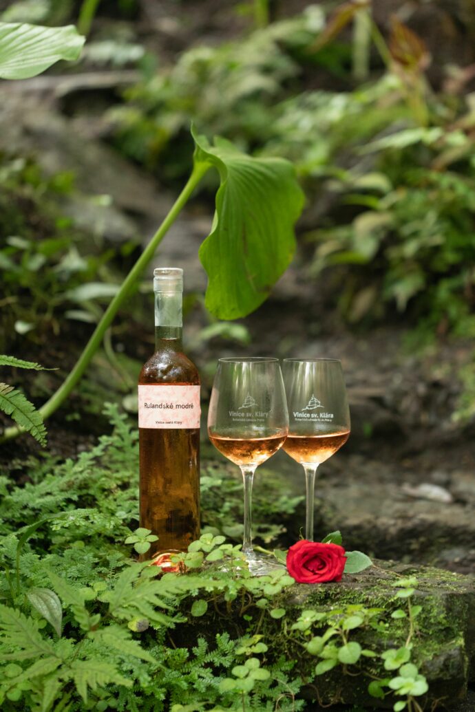 Skleník Fata Morgana opět láká na jedinečný zážitek. Foto: ©Botanická zahrada Praha