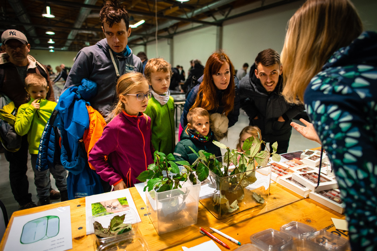 Foto: © Hobby výstaviště