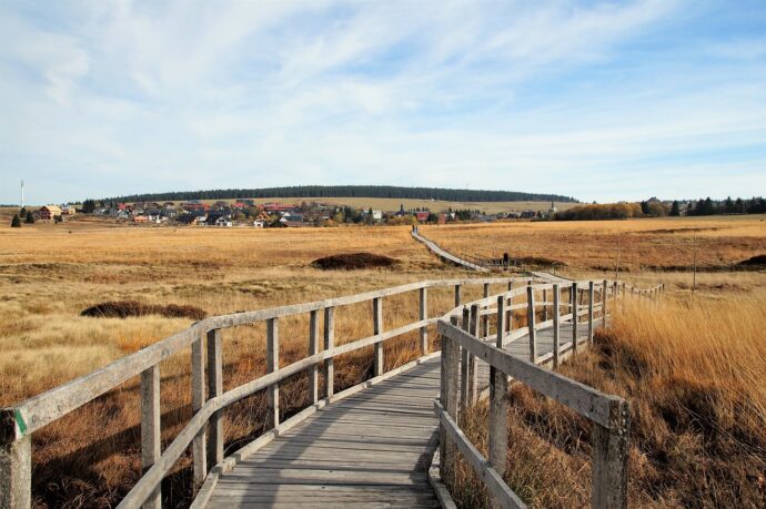 Naučná stezka Božídarské rašeliniště, Boží Dar. Foto © Pixabay ivabalk