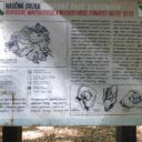 Naučná stezka Kamenné řady u Kounova