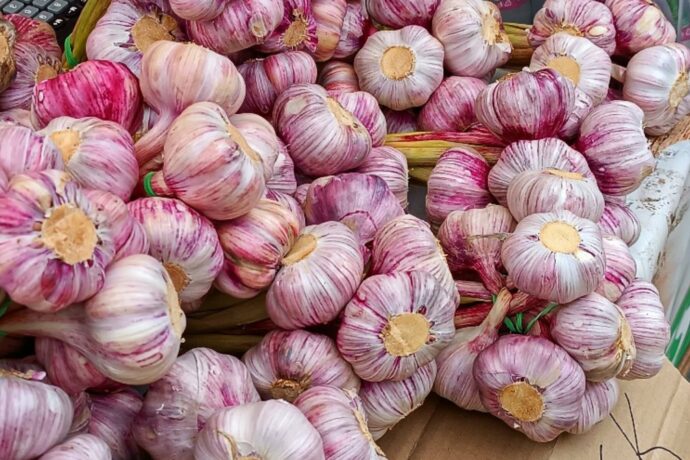 Slavnosti cibule a česneku na hradě Loket 2025