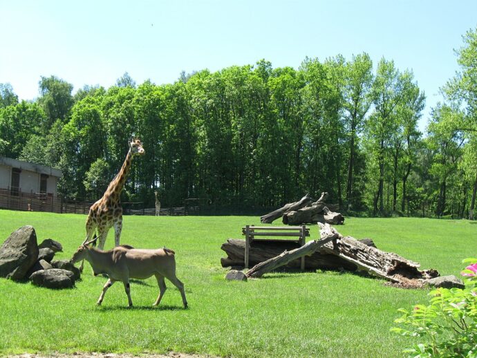 Zoo Ostrava. Foto © Lukáš Mižoch / Creative Commons / CC-BY-3.0