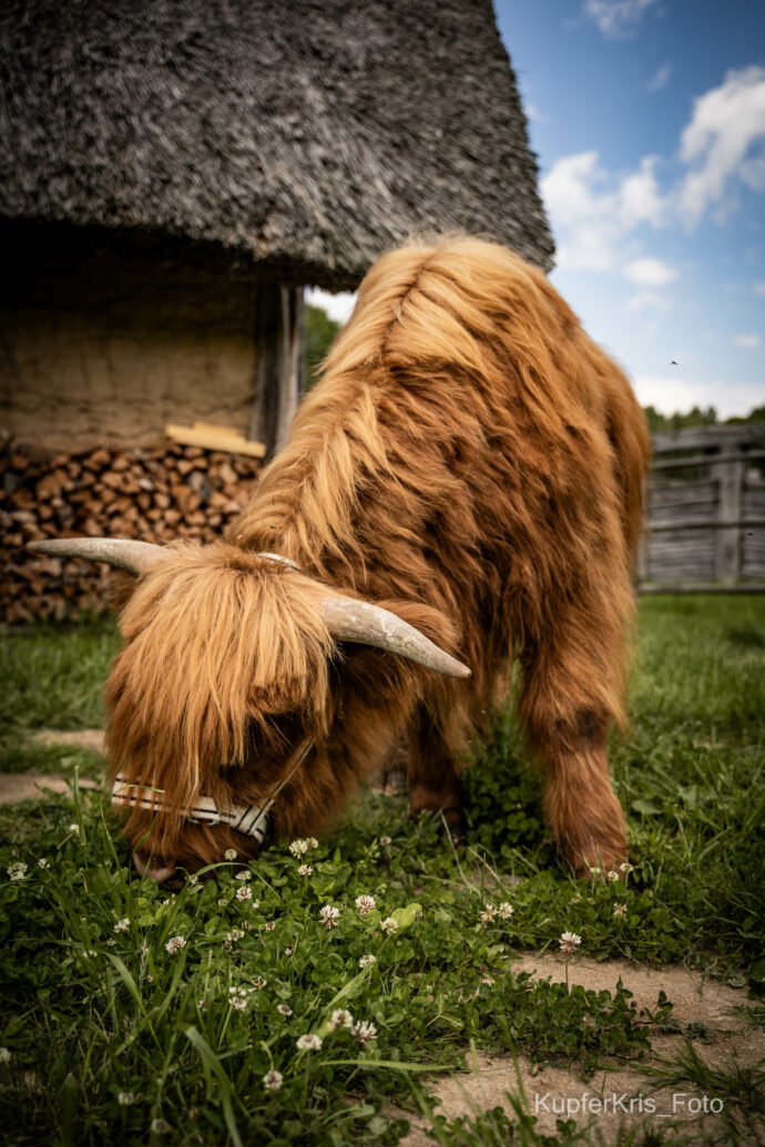 Země Keltů. Foto: ©Kristýna Steinbachová