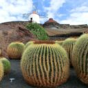 Nečekané kouzlo Lanzarote. Krajina jako z  Marsu, sopečné vinice a architektura, která  splývá s přírodou 