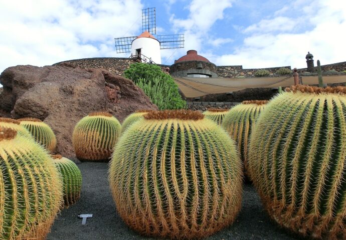 Lanzarote. Foto © Pixabay neufal54
