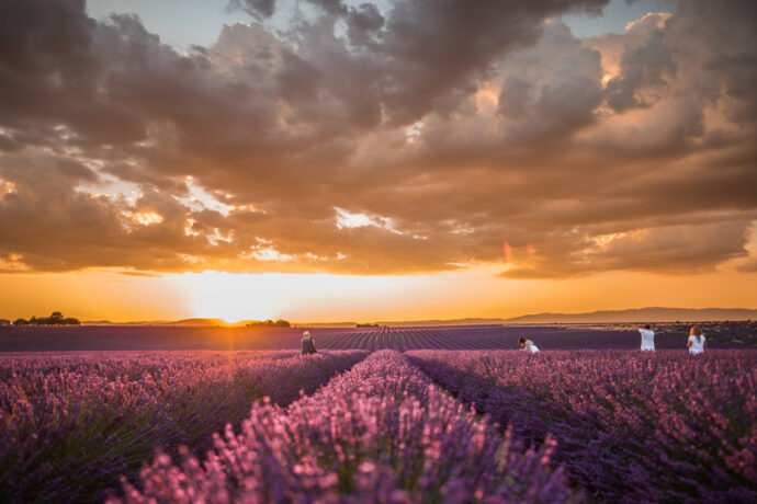 Provence pole. Foto © Freepik