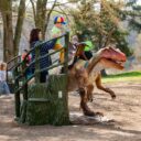 Foto: ©DinoLive