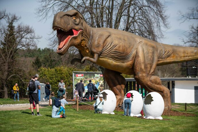 Foto: ©DinoLive