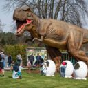 Foto: ©DinoLive