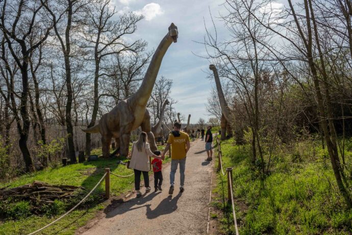 Foto: ©DinoLive