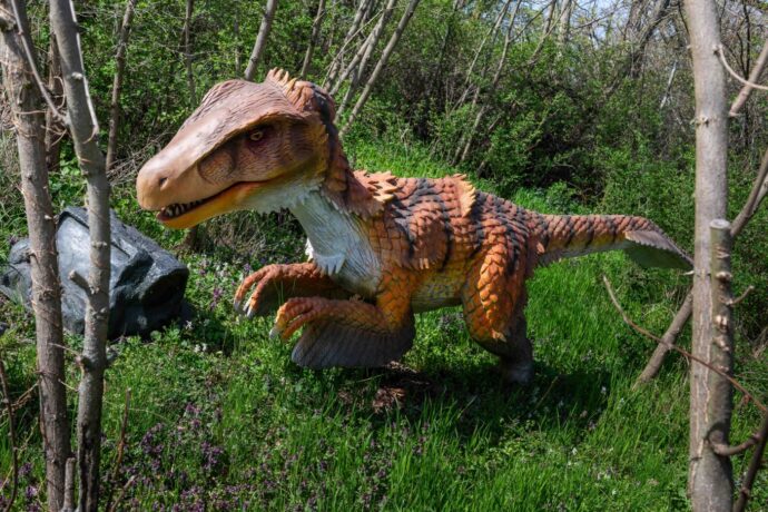 Foto: ©DinoLive