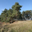 Pičhora – archeologická lokalita