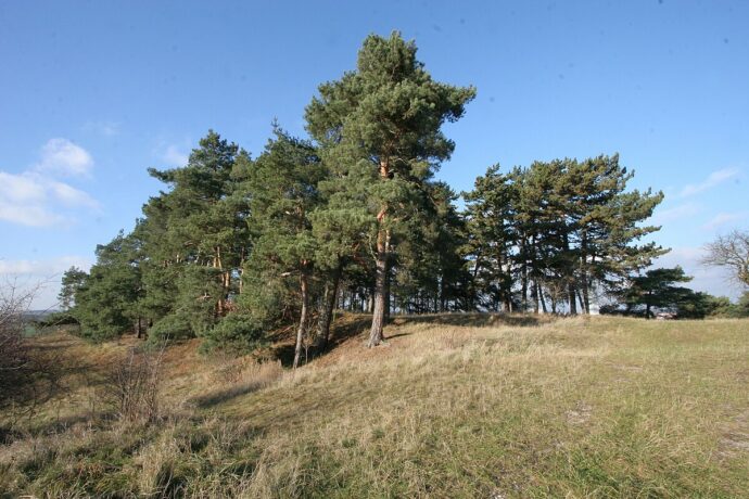 Pičhora – archeologická lokalita