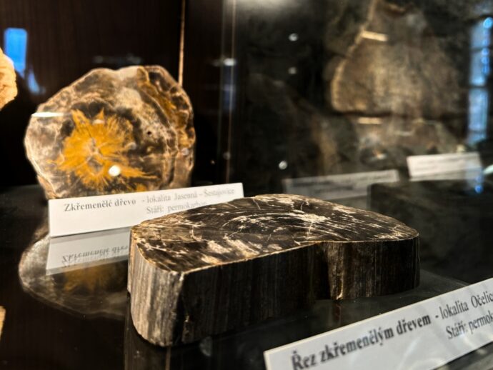 Oblastní muzeum v Lounech. Foto: ©Oblastní muzeum v Lounech