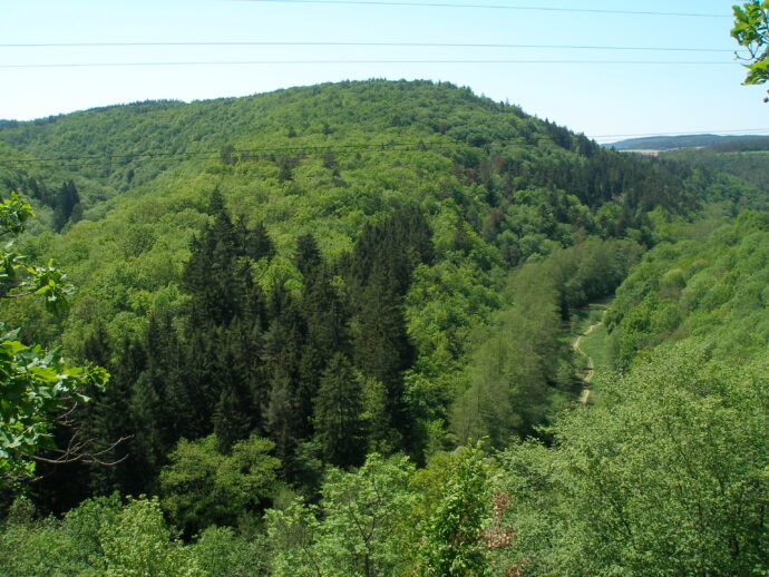 Údolí Kocáby. Foto © Autor Miloš Hlávka, Wikipedia, CC BY-SA 3.0