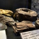 Oblastní muzeum v Lounech. Foto: ©Oblastní muzeum v Lounech