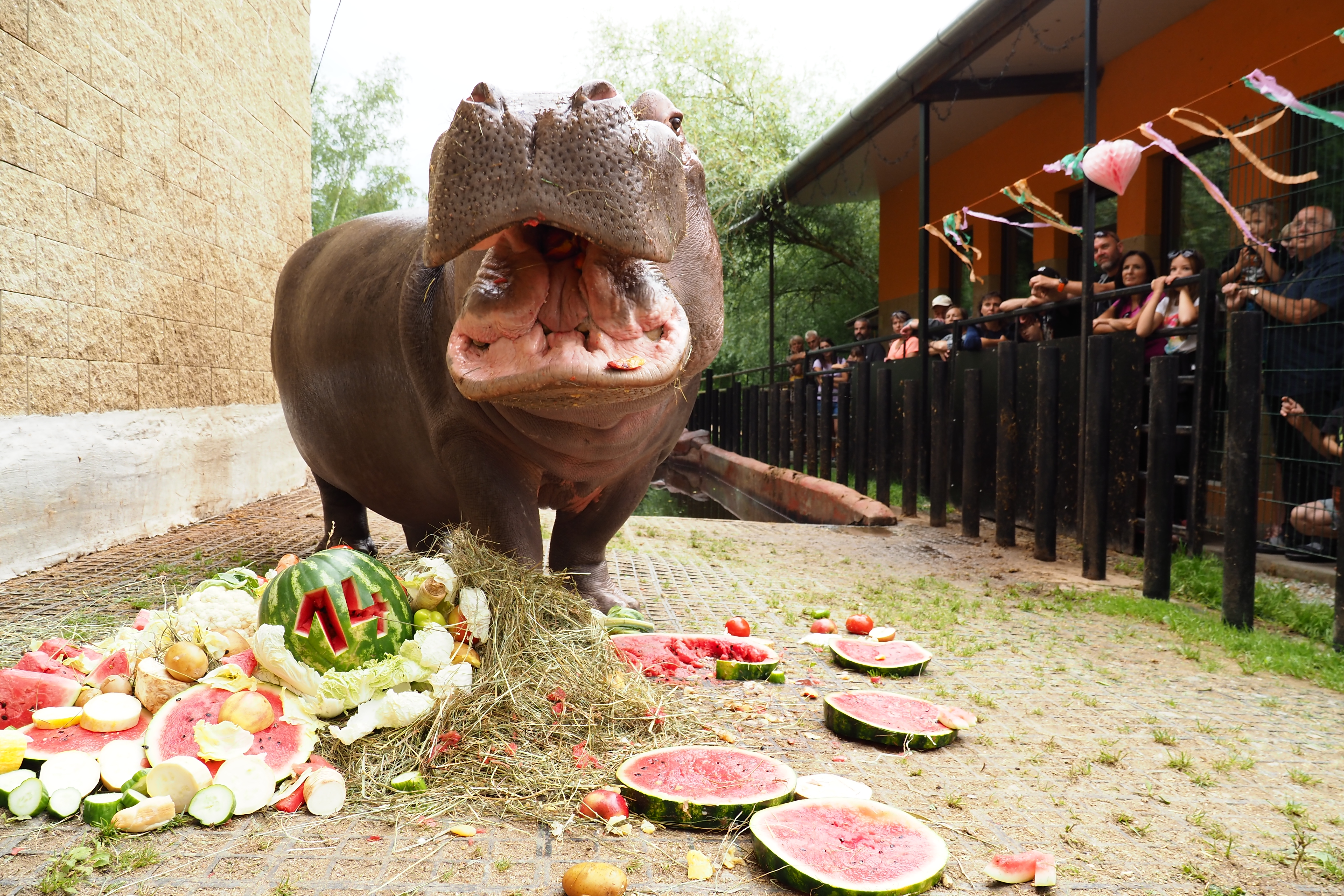 Foto: ©Zoo Dvorec