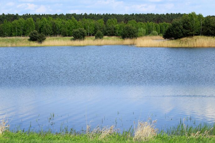 Přírodní koupaliště. Foto © Freepik