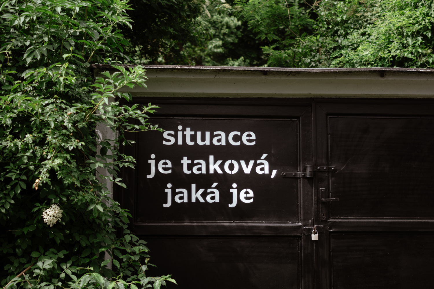 Situace je taková. Timo. Foto: ©TIC Brno