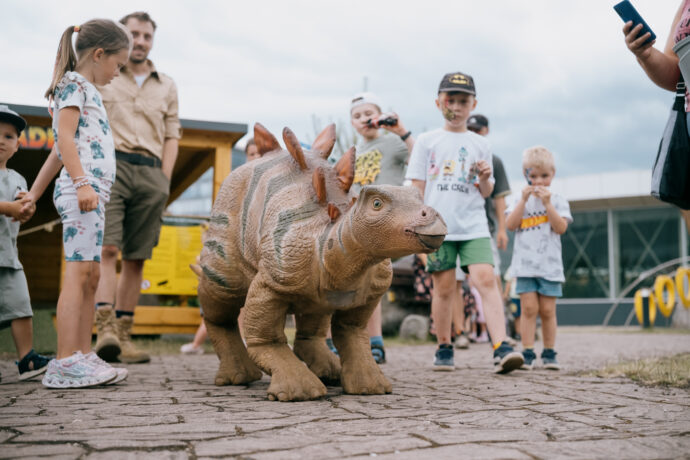 Novinkou letošního roku ve všech DinoParcích v ČR je chodící robotické mládě. Stegosaura. Foto: DinoPark
