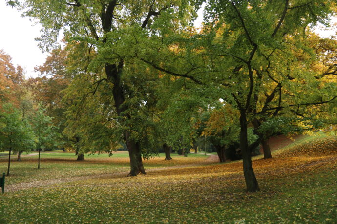 Klášterec nad Ohří - zámecký park. Foto © Autor Jan Beránek, Wikipedia, CC BY-SA 3.0