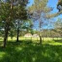 Foto: ©Resort Panství Bechyně