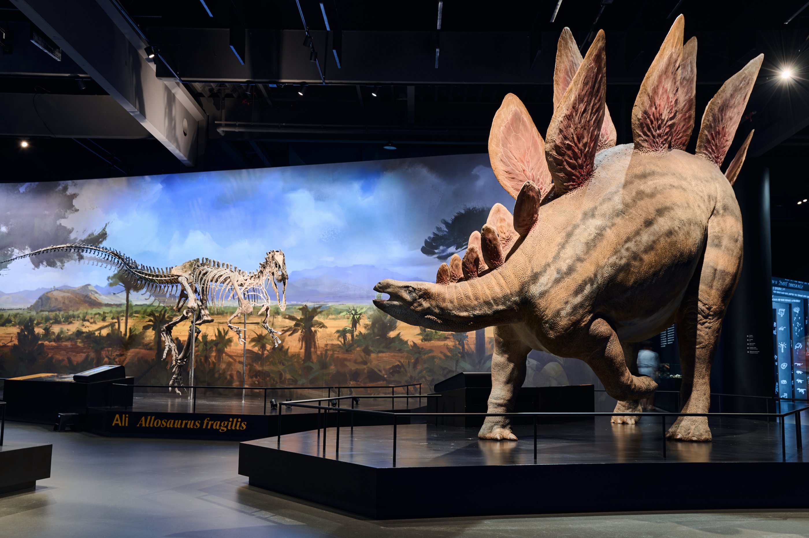 Foto: ©Dinosauria Museum Prague
