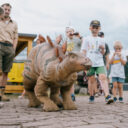 Chodící mládě stegosaura. Foto: ©DinoPark
