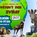 Foto: ©Zoo Dvorec