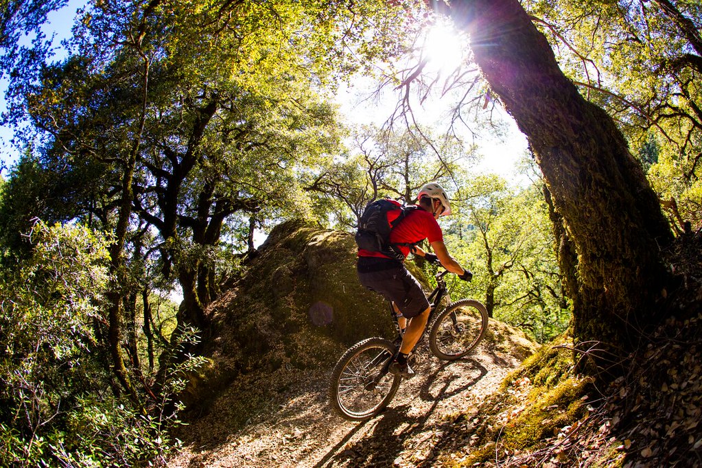 Singletracky. Foto: ©Leslie Kehmeier, Flicker