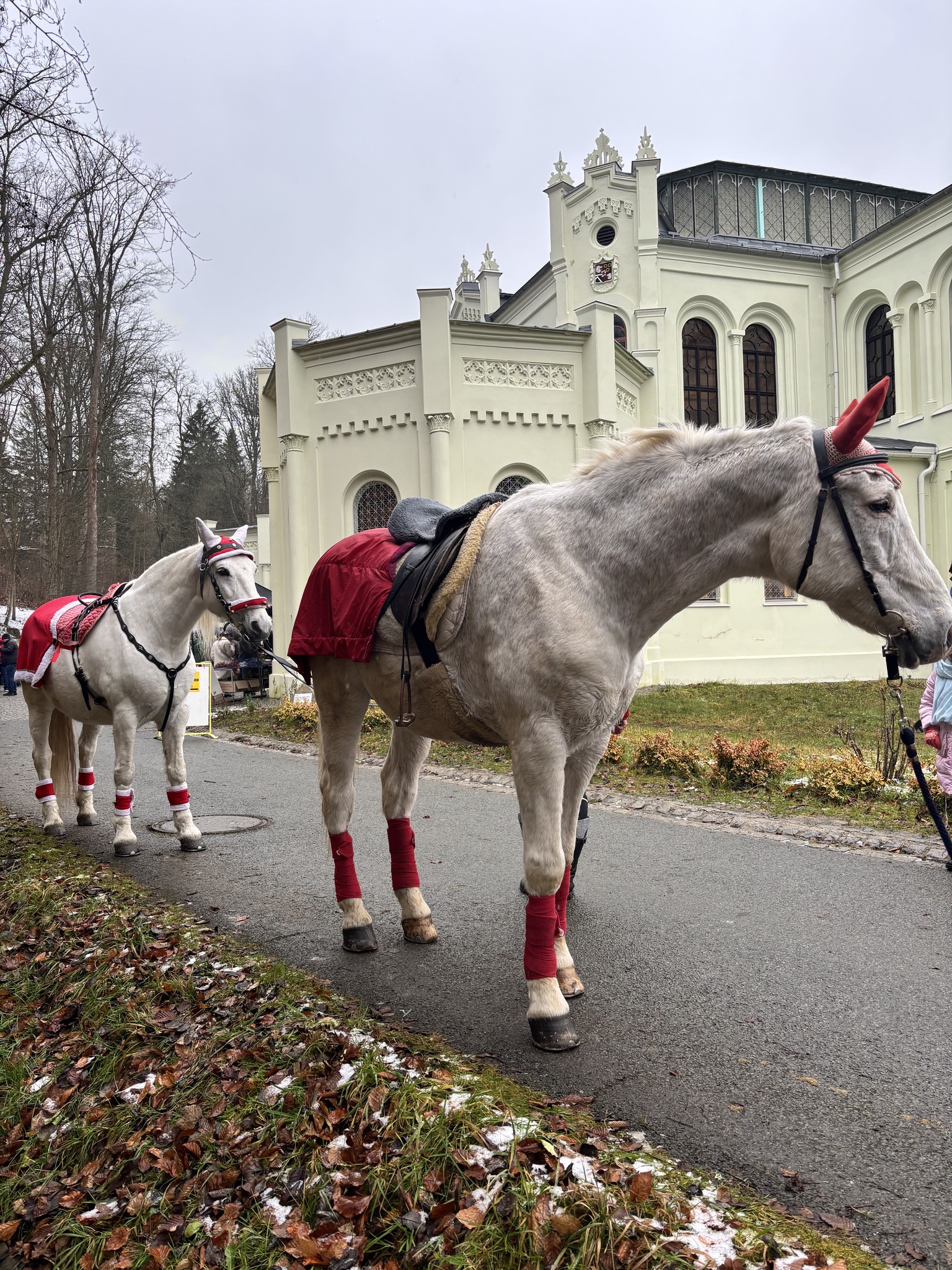 Vánoční jízdárenský trh. Foto: ©MKS Tachov