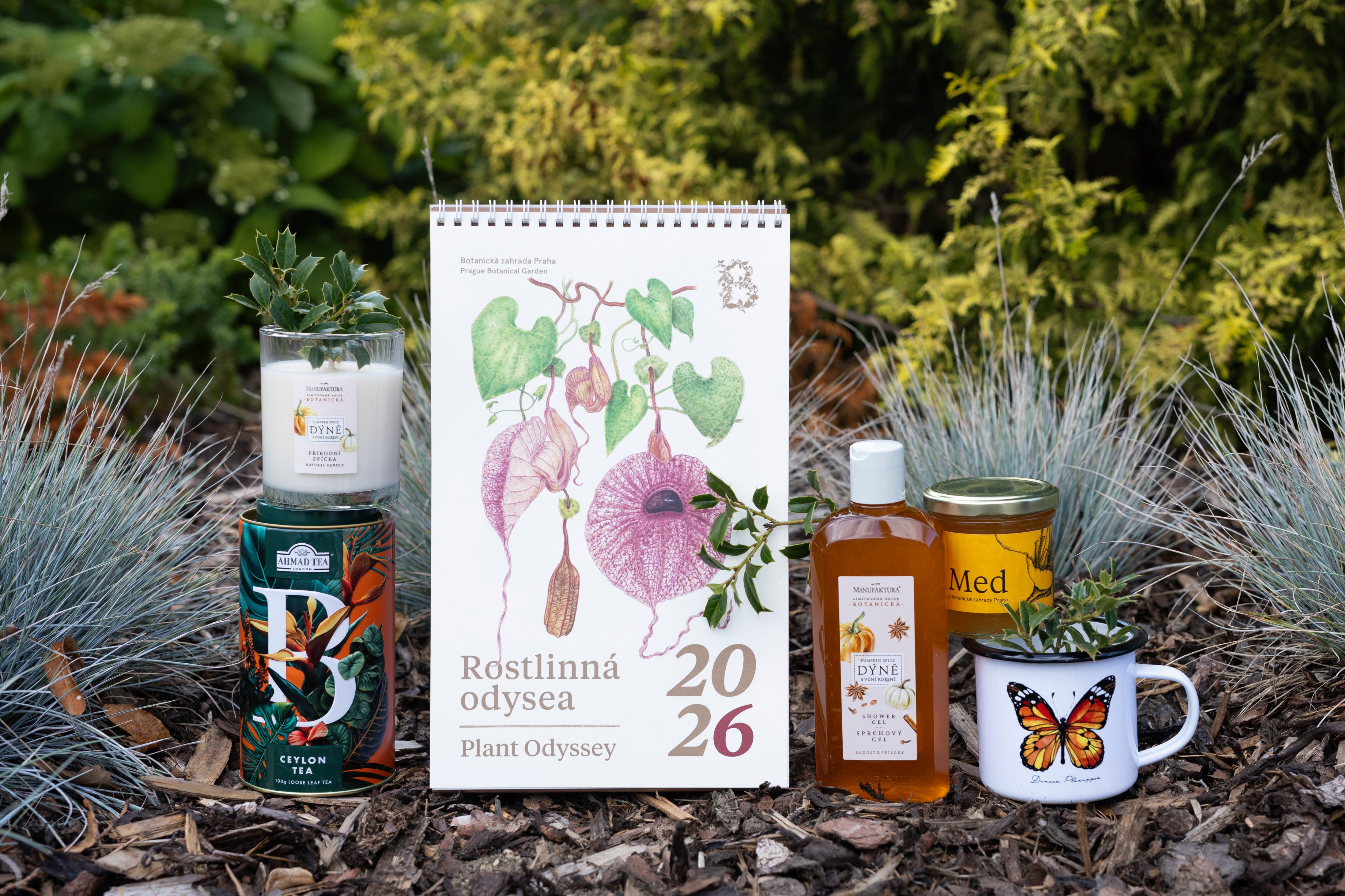 Foto: ©Botanická zahrada Praha