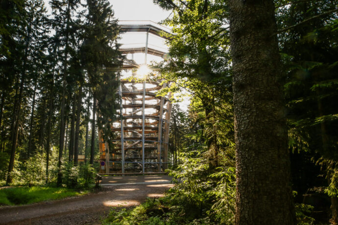 Foto: ©Stezka korunami stromů Krkonoše