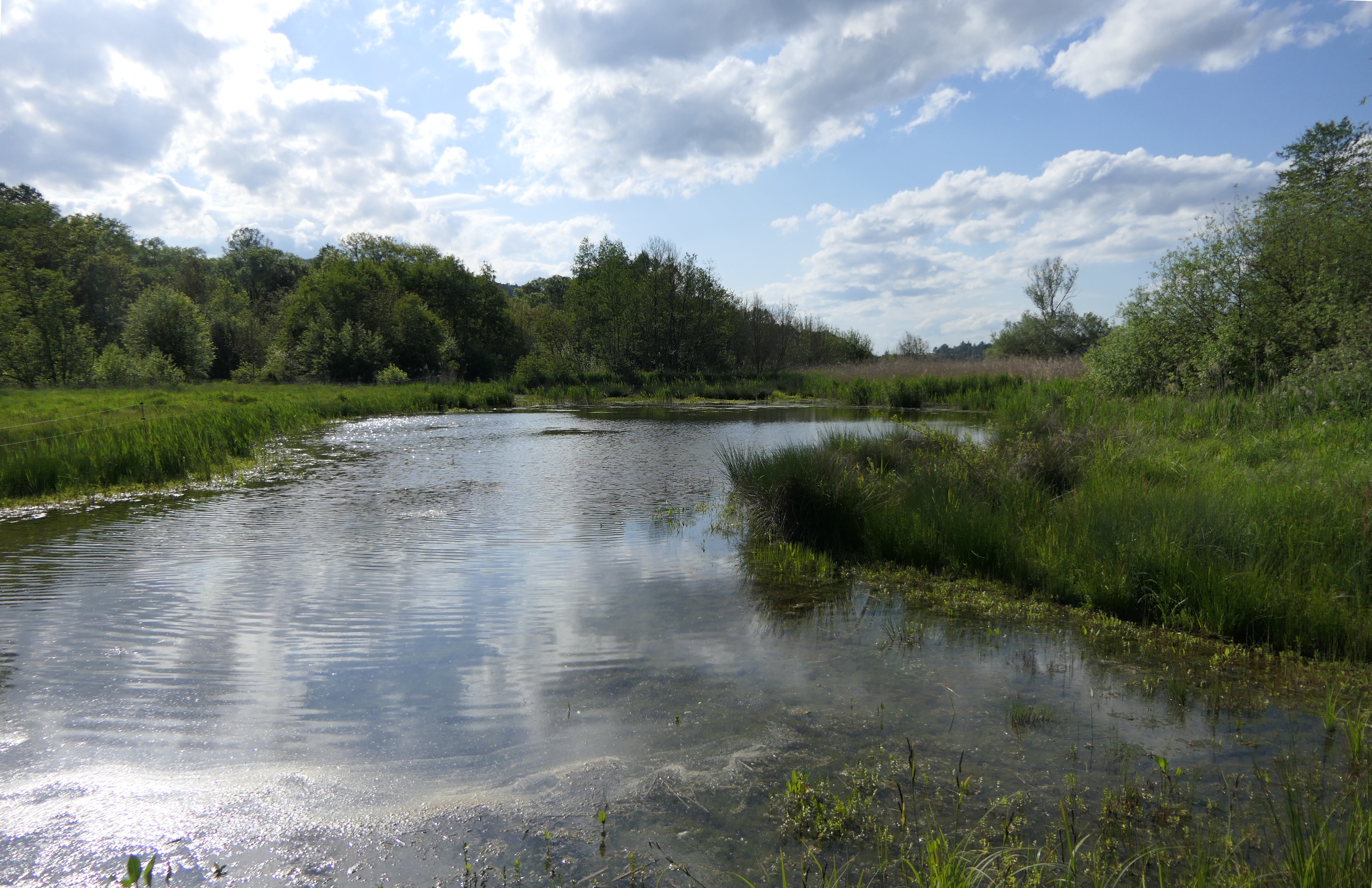 Sedmihorské mokřady. Foto: ©Jan Moravec