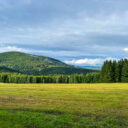 Šumava