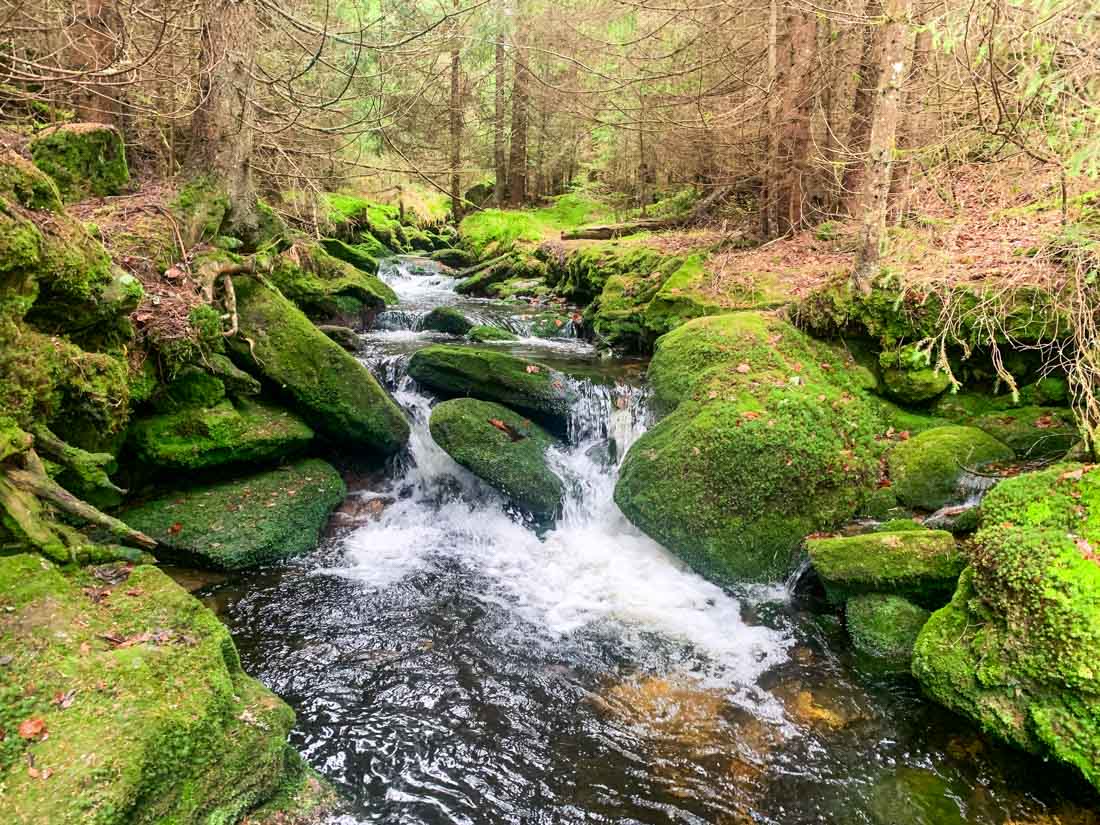 Šumava