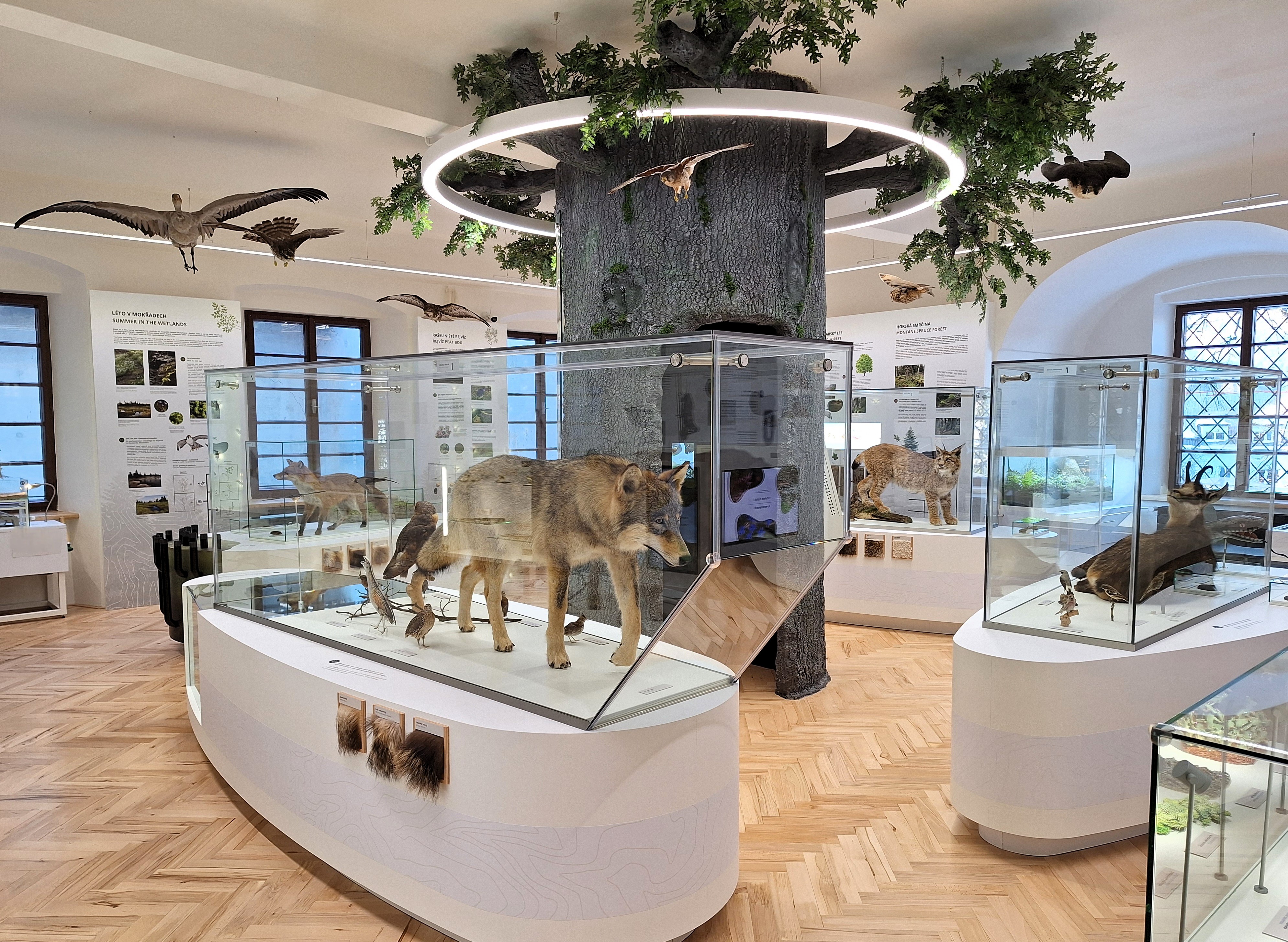 Foto: ©Vlastivědné muzeum Jesenicka