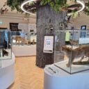 Foto: ©Vlastivědné muzeum Jesenicka