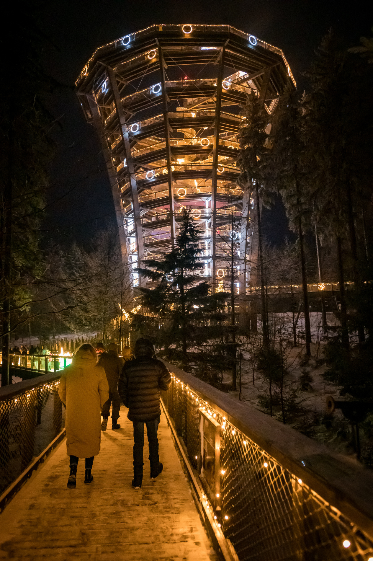 Foto: © Stezka korunami stromů Krkonoše