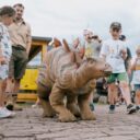 Foto: © DinoPark