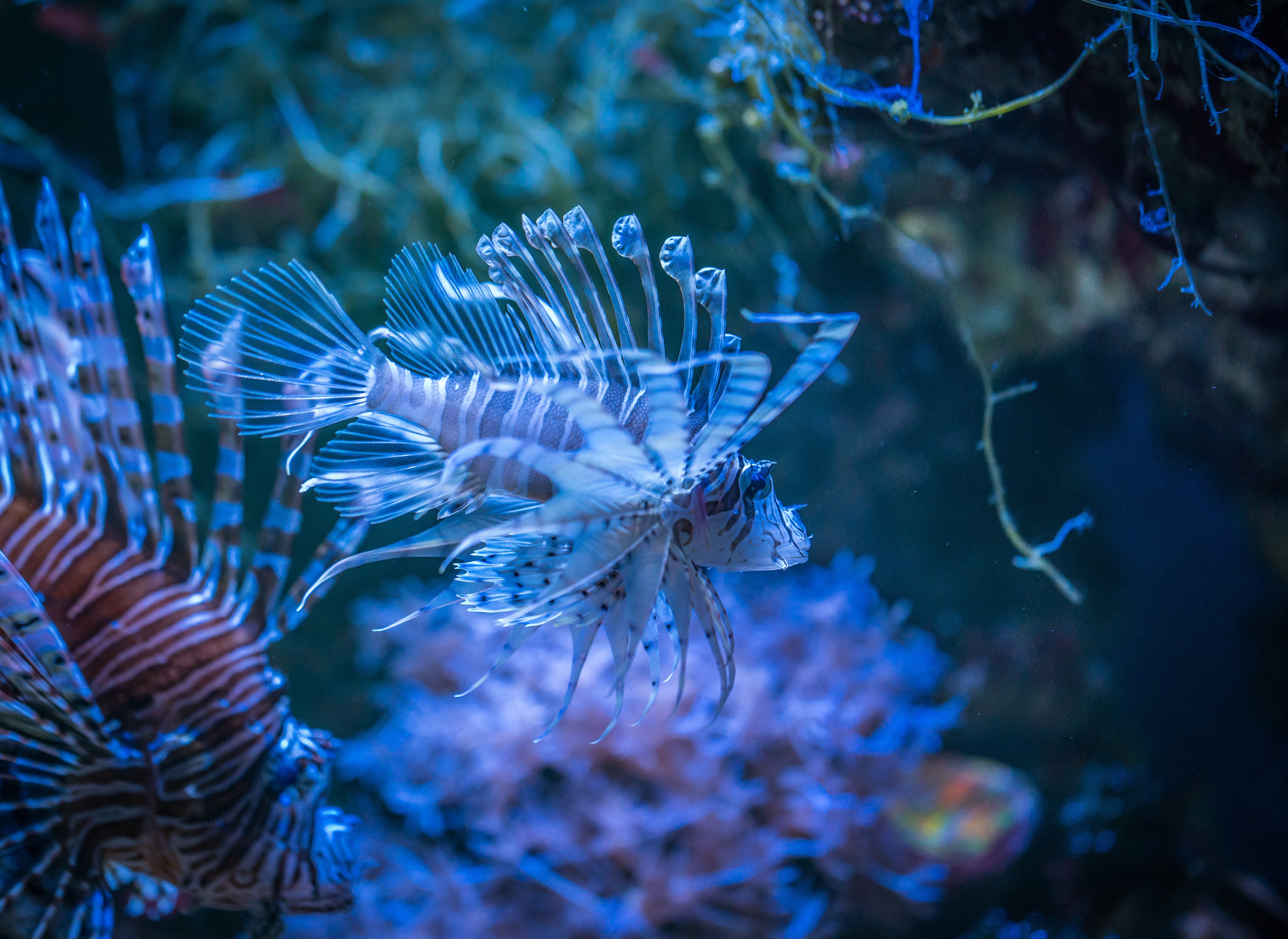 Foto: © Егор Камелев, Pixabay