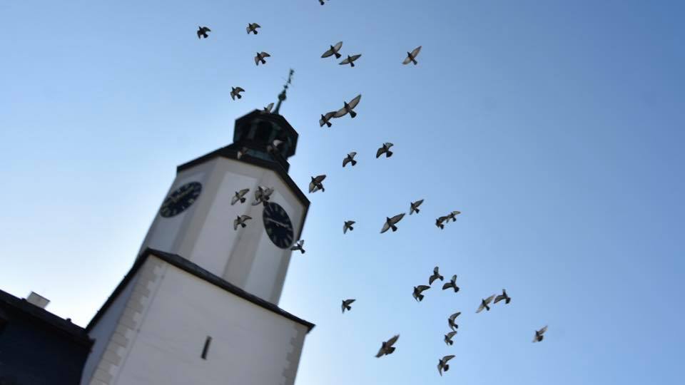 Informační centrum při Městském muzeu Rýmařov. Foto: © Informační centrum Rýmařov