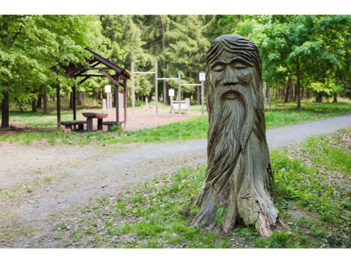 Lesní tělocvična, strážce Podhůry. Foto: © Kalčík