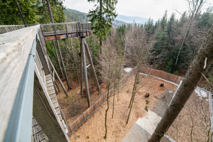 Medvědí stezka. Foto: © Jan Bartoš, Stezka korunami stromů Krkonoše 