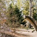 Foto: © DinoPark